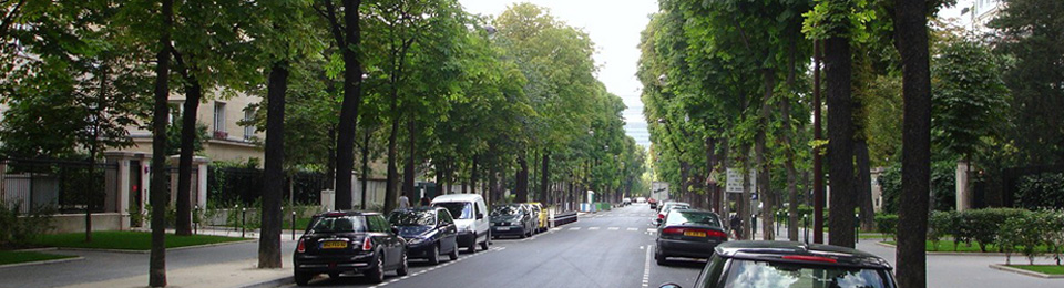 création de site web sur mesure